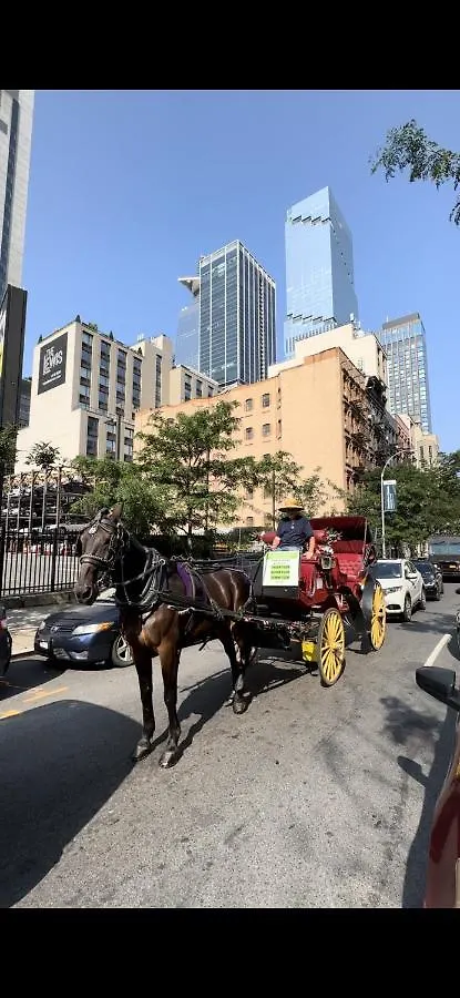 Daire Hudson Yard 1 Bedroom Ground Floor Near Times Sq New York
